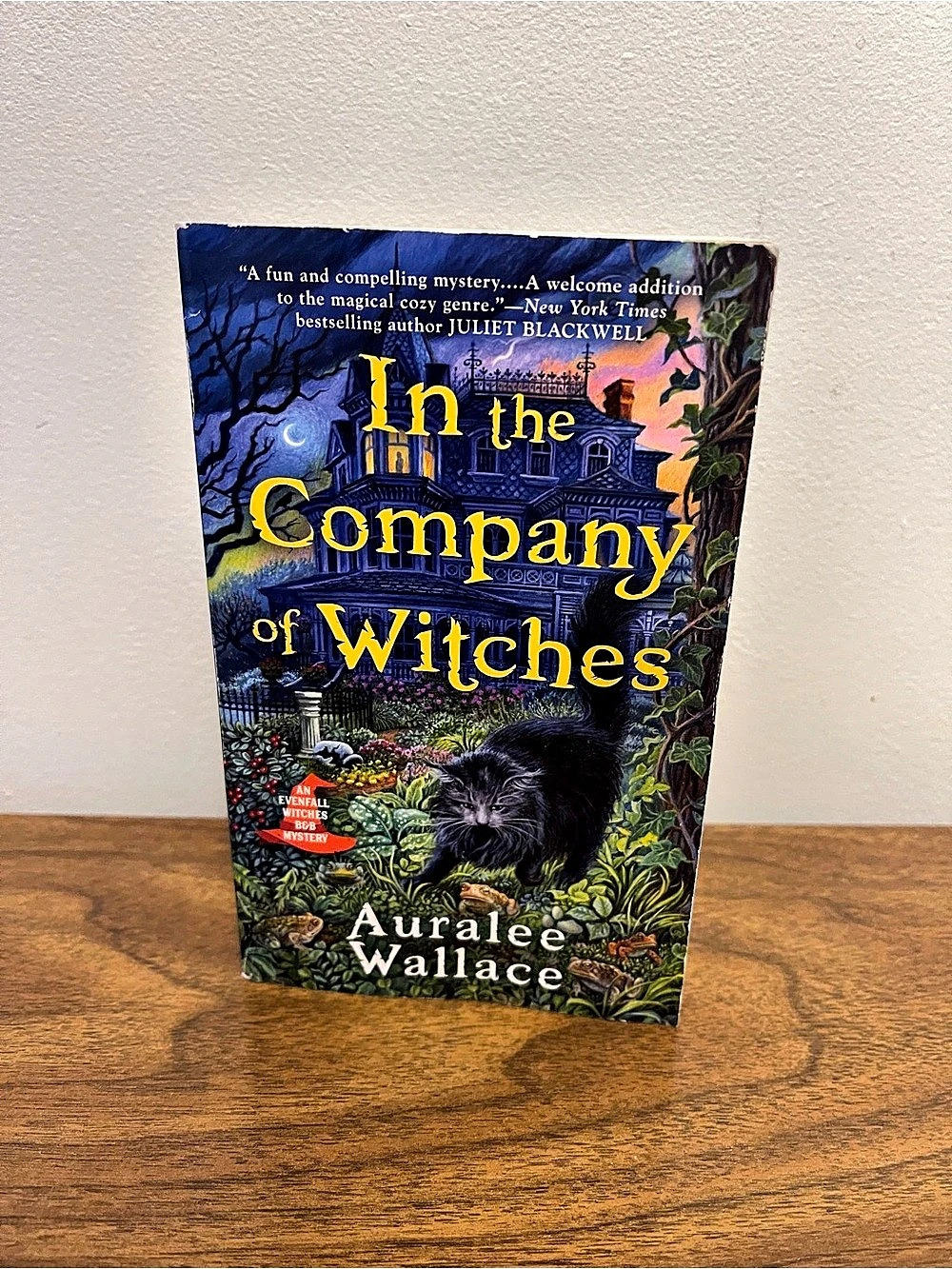 In the Company of Witches by Auralee Wallace